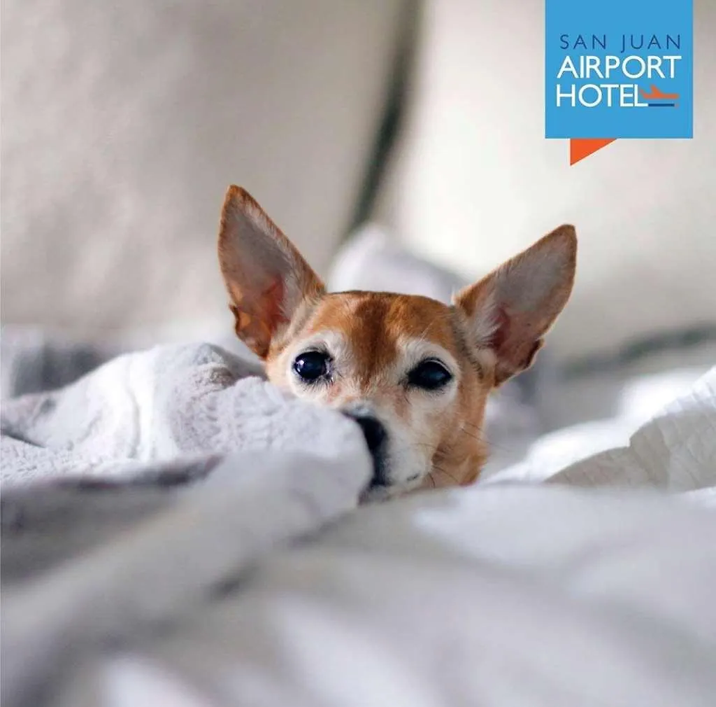 San Juan Airport Hotel 3*, Сан-Хуан Пуэрто-Рико